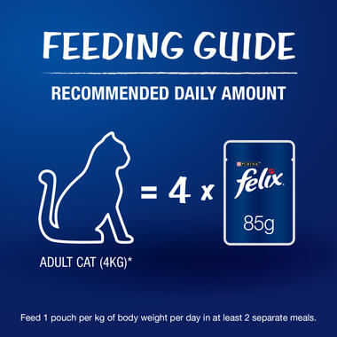 Felix kitten feeding guide sale
